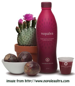 nopalea wellness drink