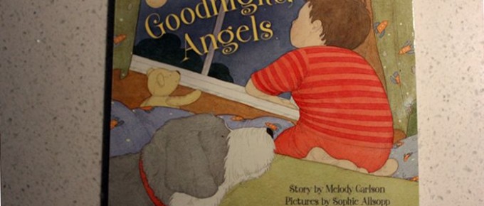 goodnight angel book cover