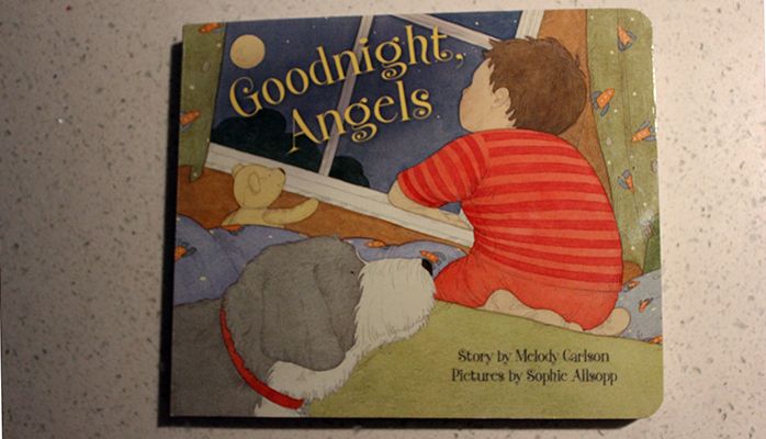 goodnight angel book cover
