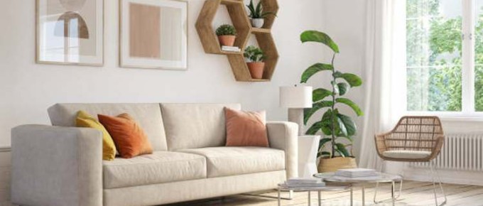 living-room furniture, plants, decorations