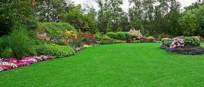 green-lawn-garden-landscaped