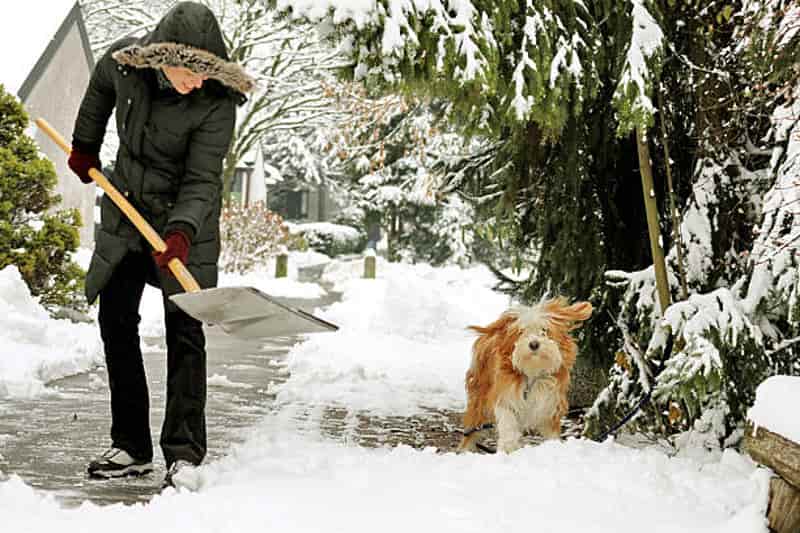 woman-shovel-snow-winter